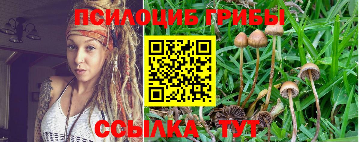 Галлюциногенные грибы Magic Shrooms Ковров