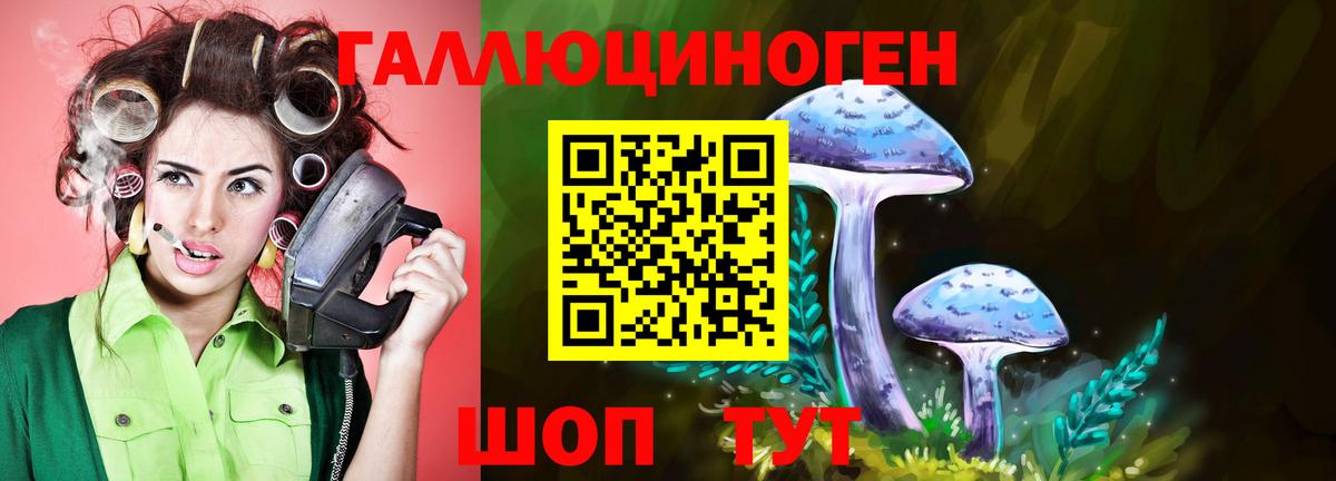 что такое наркотик  Псилоцибиновые грибы прущие грибы  Вход с VPN  Ковров 